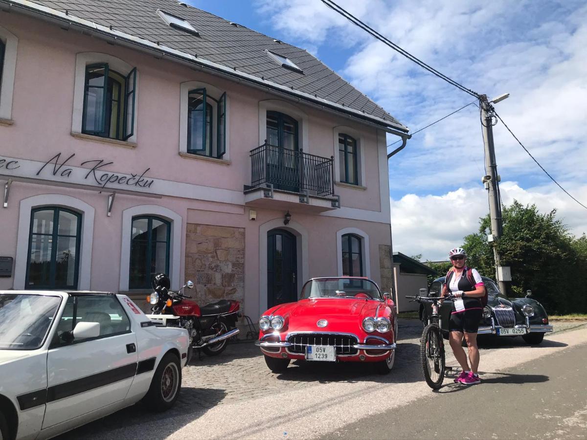 Na Kopecku Ad 1795 - Penzion S Restauraci A Wellness V Podkrkonosi Dvůr Králové nad Labem エクステリア 写真