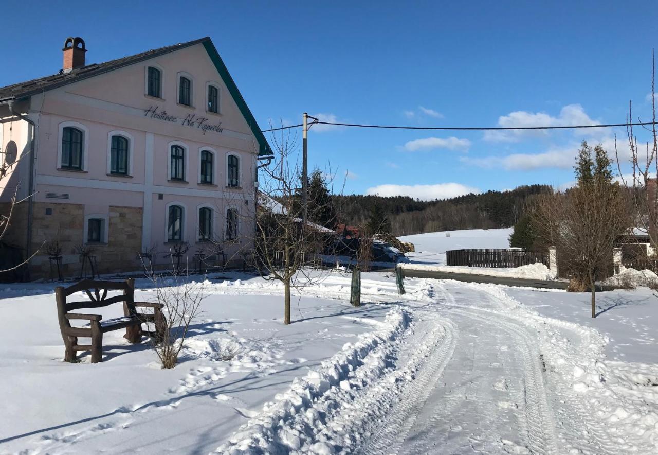 Na Kopecku Ad 1795 - Penzion S Restauraci A Wellness V Podkrkonosi Dvůr Králové nad Labem エクステリア 写真